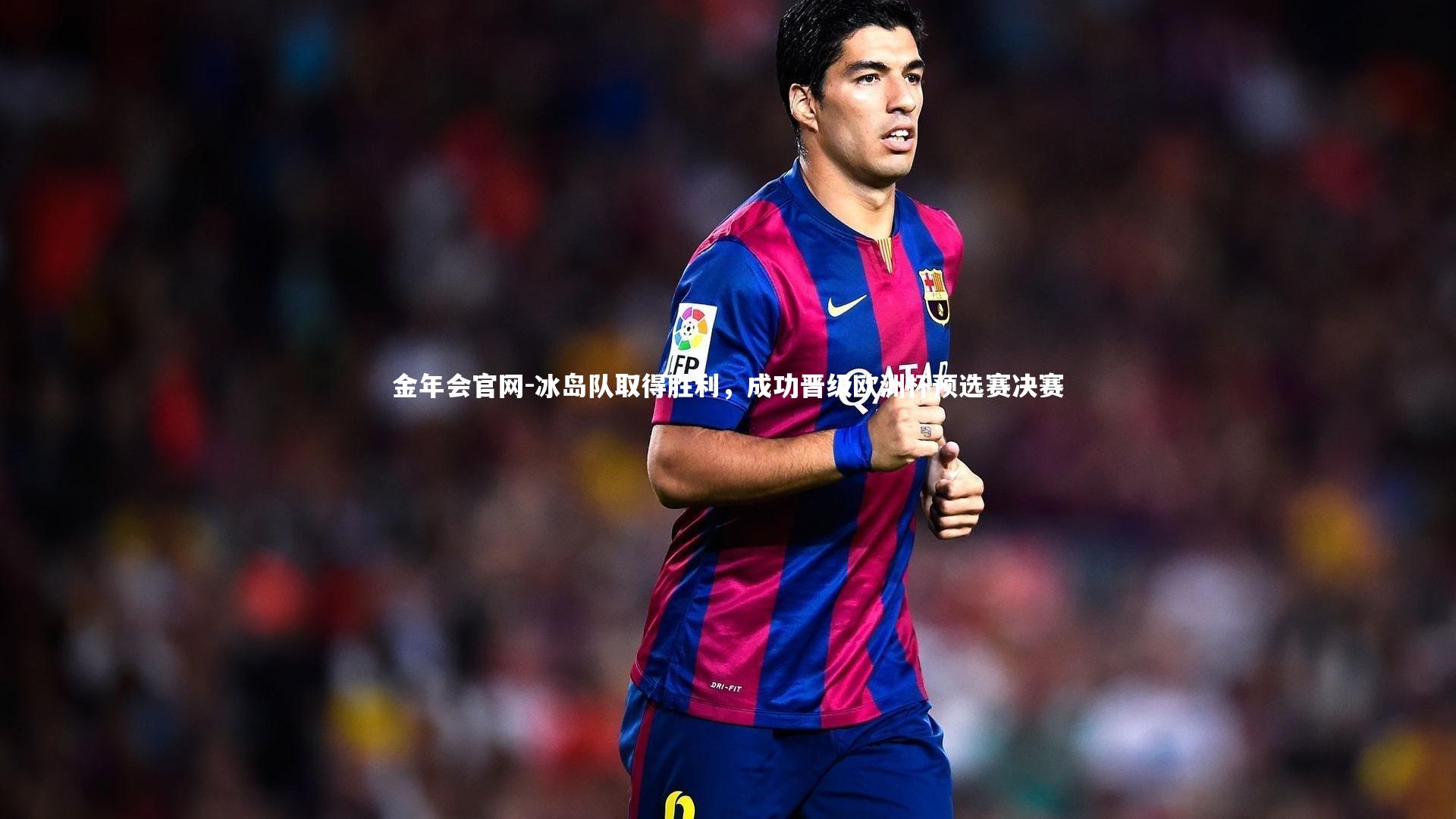 冰岛队取得胜利，成功晋级欧洲杯预选赛决赛