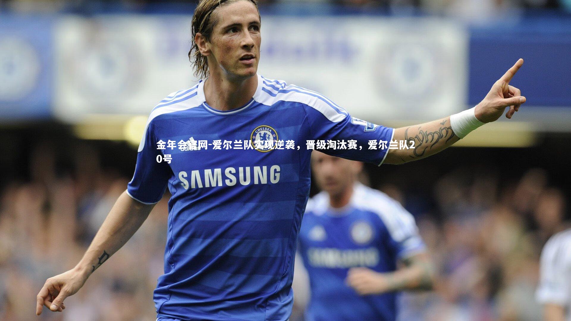 爱尔兰队实现逆袭，晋级淘汰赛，爱尔兰队20号