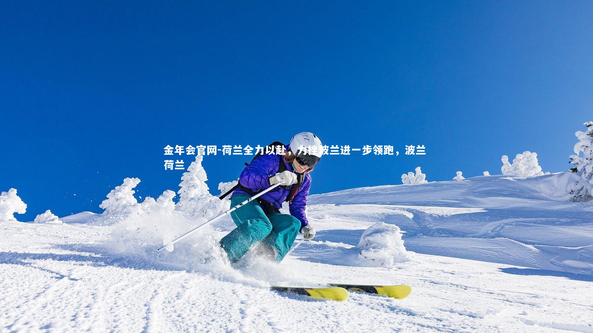 荷兰全力以赴,力挫波兰进一步领跑,波兰 荷兰