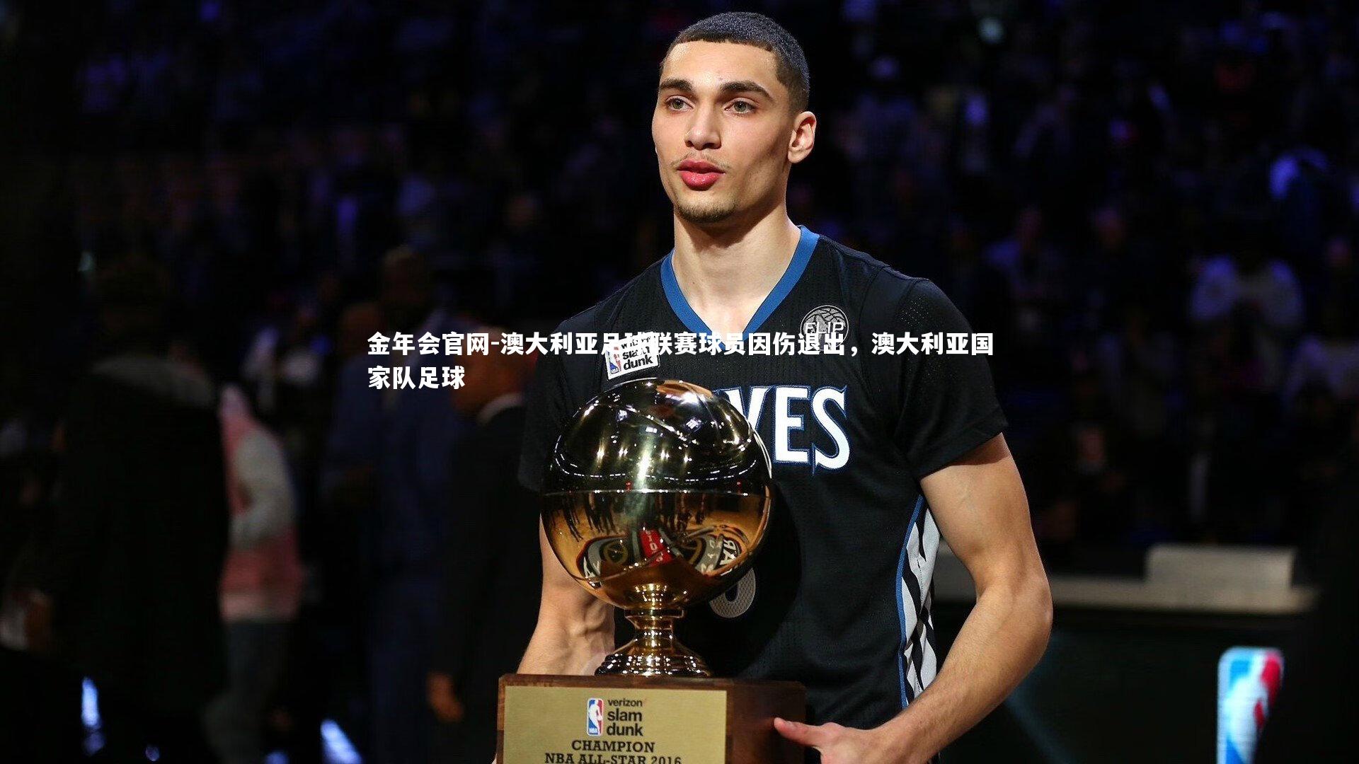 澳大利亚足球联赛球员因伤退出,澳大利亚国家队足球